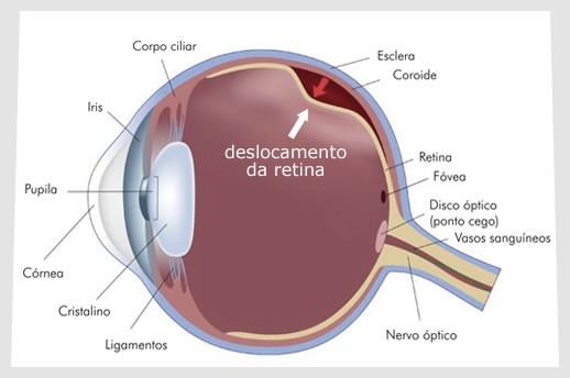 consultório oftalmológico no Rio de Janeiro